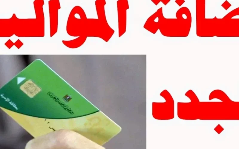 إضافة المواليد الجدد على بطاقة التموين 2025 بسهولة عبر بوابة مصر الرقمية خطوة بخطوة