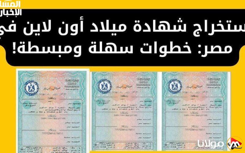 تصريح فوري.. كيفية الحصول على شهادة ميلاد 2025 من خلال البوابة الرقمية المصرية