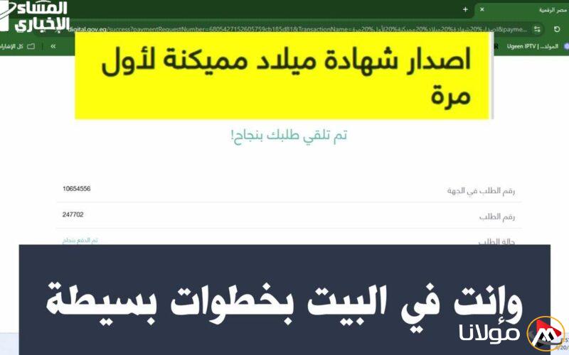 احصل على شهادة ميلاد 2025 بسهولة! سجل ميلادك عبر مصر الرقمية دون الحاجة للانتظار في الطوابير
