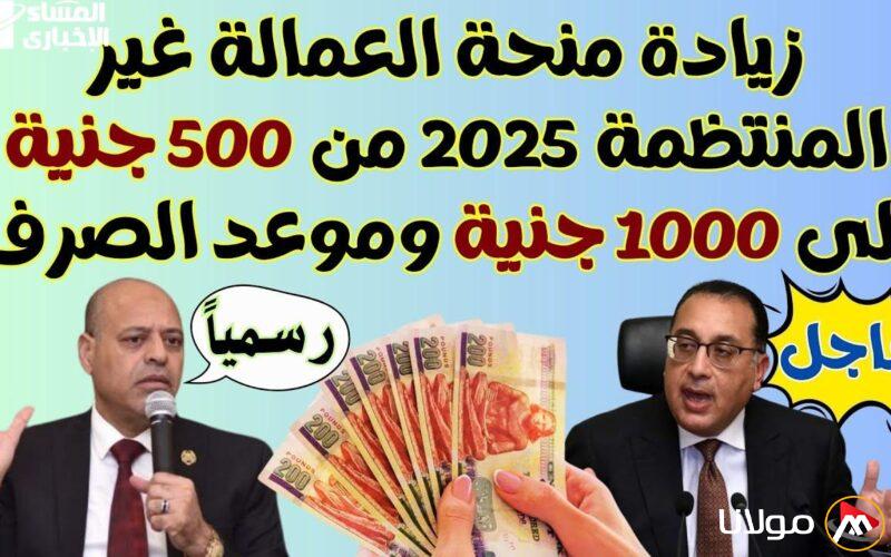 احصل على منحة العمالة غير المنتظمة 2025! خطوات سهلة للاستعلام الآن