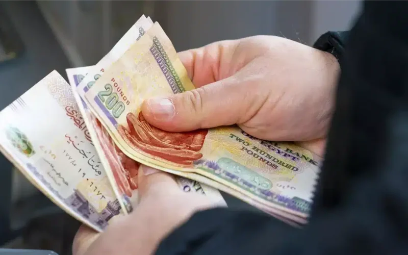قرار مثير: معاشات 2025 تبدأ بداية جديدة تشعل حماسة الناس!