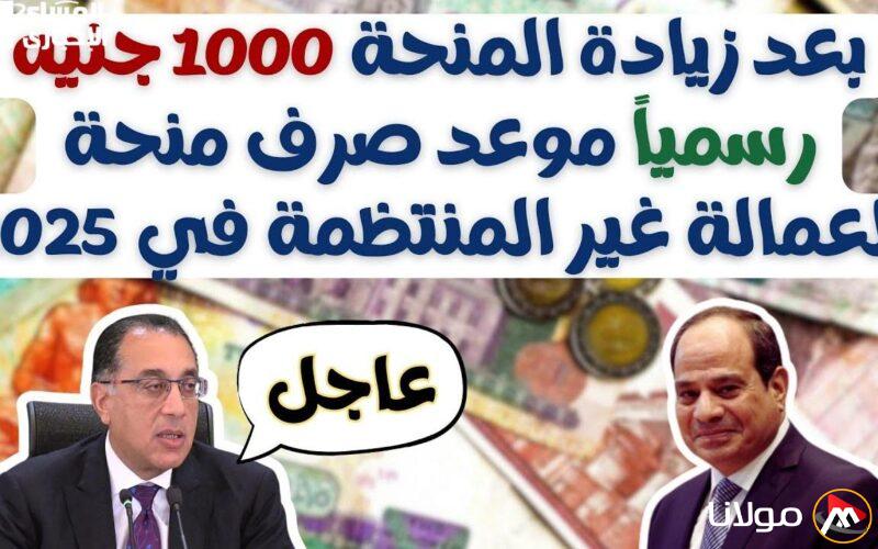 عودة المنحة إلى الساحة: كيفية التقديم على منحة العمالة غير المنتظمة بجميع الشروط والتفاصيل المتاحة أمامك.