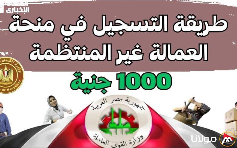 اكتشف اسمك .. رابط التحقق من منحة العمالة غير المنتظمة 2025 باستخدام الرقم القومي www.manpower.gov.eg