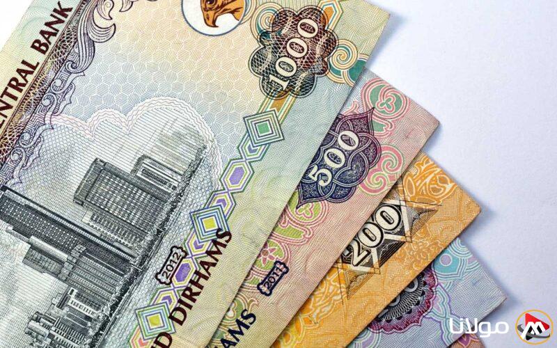 سعر الدرهم الإماراتي اليوم الخميس 17 أبريل: يقترب من 14 جنيه مصري في المؤسسات المالية.