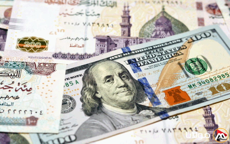سعر الدولار اليوم 17 أبريل: تراجع في بعض البنوك خلال منتصف التداولات.