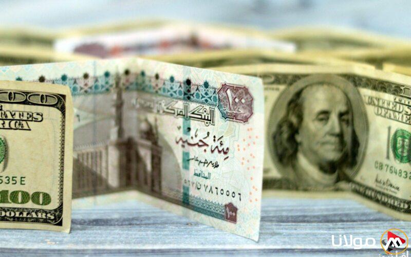 تحديث مستمر لأسعار الدولار مقابل الجنيه المصري في البنوك اليوم