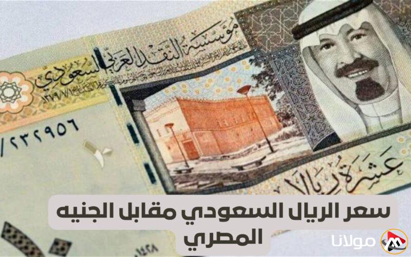 سعر صرف الريال السعودي مقابل الجنيه المصري بتاريخ الأحد 13 أبريل 2025