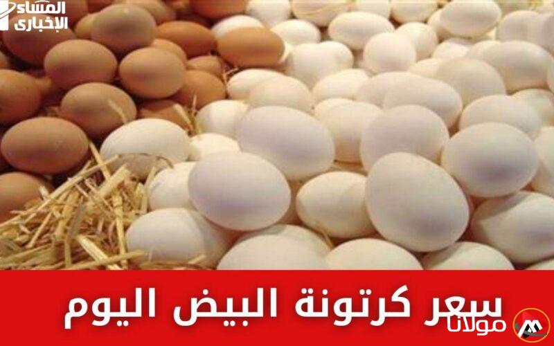أسعار كرتونة البيض اليوم السبت 26/4/2025: مفاجآت في الأسعار والمطبخ سعيد!