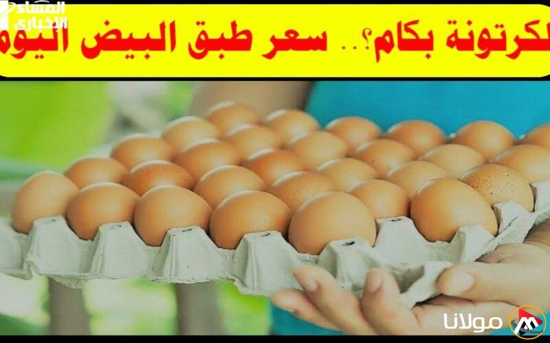 أسعار البيض اليوم الخميس 24 أبريل 2025: اكتشف تكلفة كرتونة البيض في السوق!