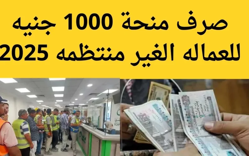 أسرع! سجل الآن في منحة العمالة غير المنتظمة قبل نفاد الفرص!