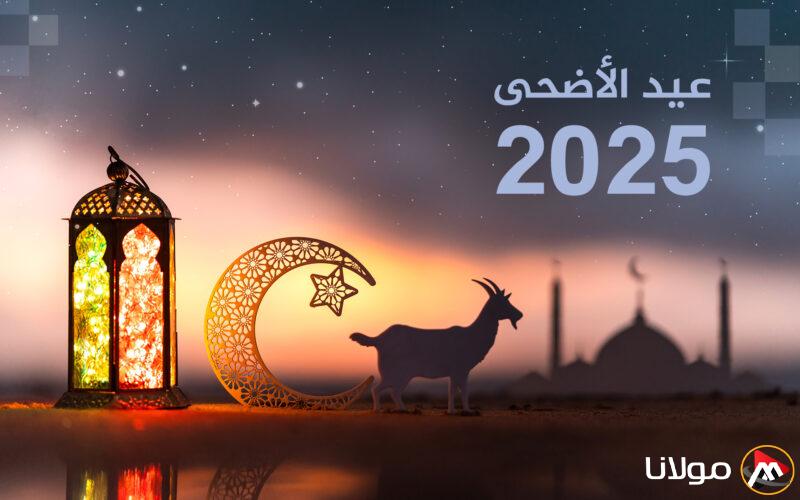 موعد عيد الأضحى 2025 في السعودية وعدد أيام الإجازة للقطاعين العام والخاص والبنوك – كل التفاصيل التي ستؤثر على خططك!