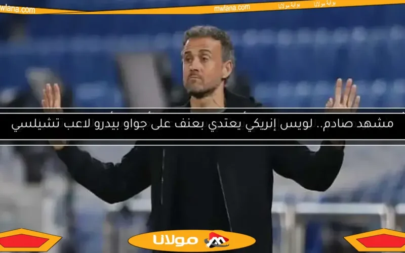 مشهد صادم.. لويس إنريكي يعتدي بعنف على جواو بيدرو لاعب تشيلسي