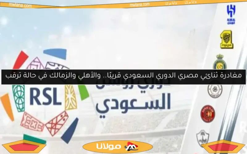 مغادرة ثنائي مصري الدوري السعودي قريبًا.. والأهلي والزمالك في حالة ترقب