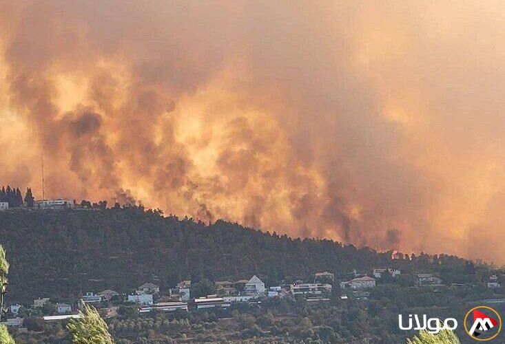 إسرائيل تعلن السيطرة على الحرائق وتربطها بالإهمال في إدارة الموارد الطبيعية