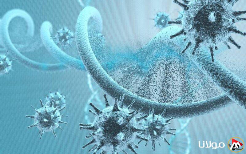 وفاة 216 طفلاً أمريكياً بسبب الإنفلونزا في عام 2025: حقائق صادمة تحتاج إلى معرفتها