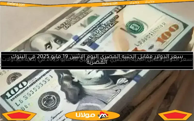 سعر الدولار مقابل الجنيه المصري في ختام تعاملات الخميس 8 مايو 2025
