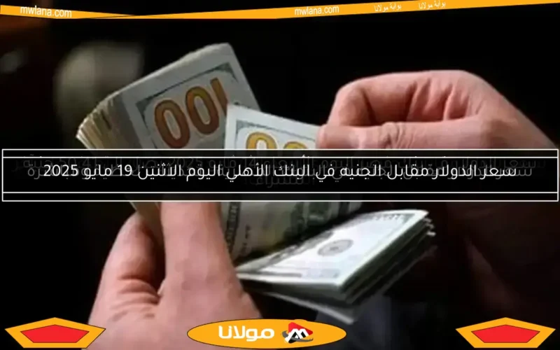 سعر الدولار اليوم السبت 10 مايو 2025 يظل ثابتًا خلال التعاملات المسائية