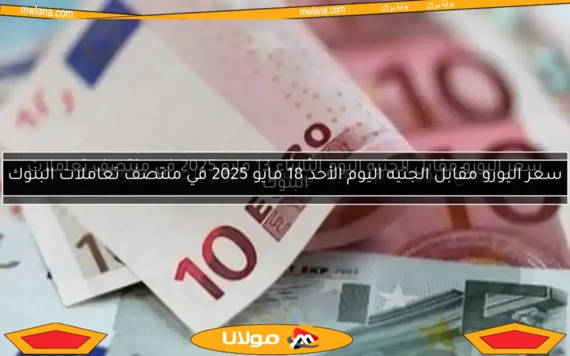 سعر اليورو مقابل الجنيه اليوم الثلاثاء 13 مايو 2025 في منتصف تعاملات البنوك