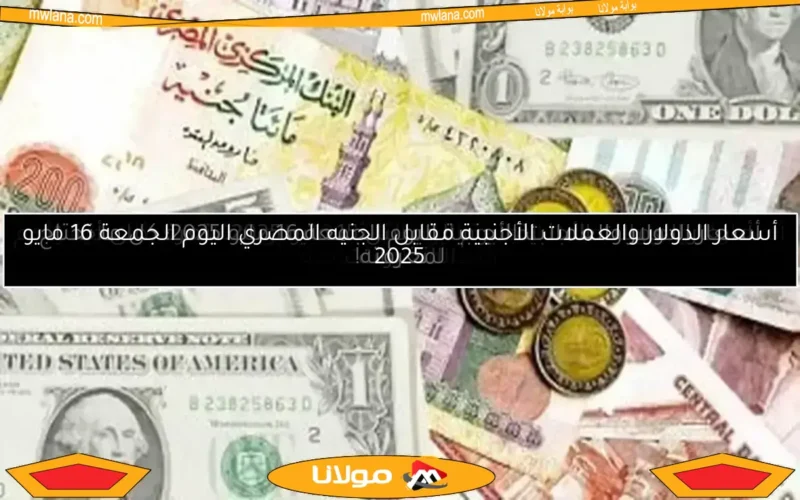 أسعار الدولار والعملات الأجنبية اليوم الثلاثاء 13 مايو 2025: تحديثات حية وأهم المعلومات