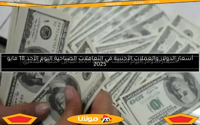 سعر الدولار مقابل الجنيه المصري اليوم الأربعاء 7 مايو 2025 يصل إلى 50.61 جنيه في البنك المركزي