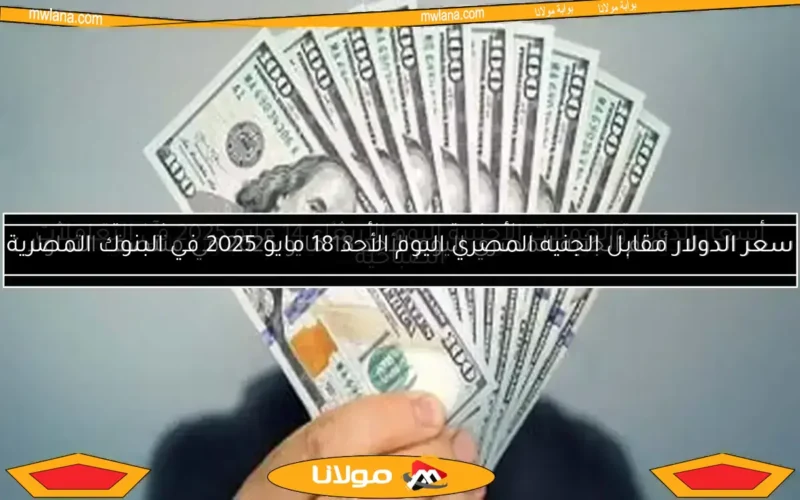 تحديثات فورية لسعر الدولار مقابل الجنيه في البنوك المصرية