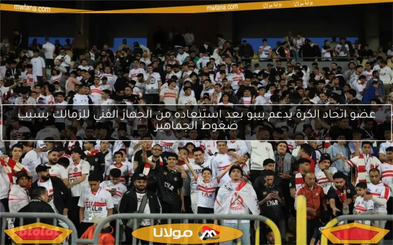 عضو اتحاد الكرة يدعم بيبو بعد استبعاده من الجهاز الفني للزمالك بسبب ضغوط الجماهير