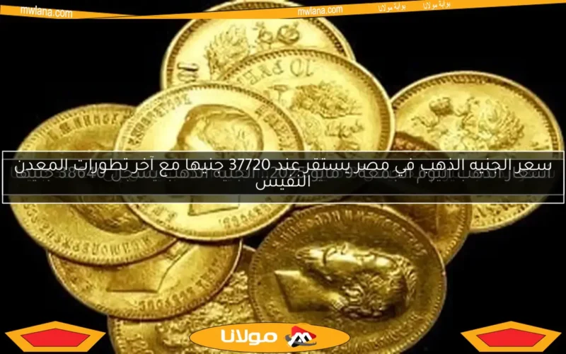 سعر الجنيه الذهب في مصر يستقر عند 37720 جنيها مع آخر تطورات المعدن النفيس