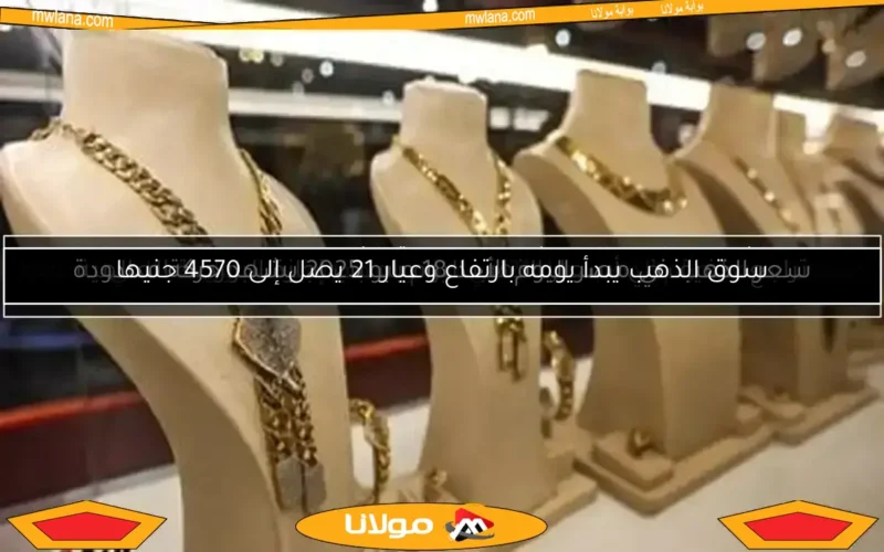 سعر الذهب في مصر اليوم الأحد 18 مايو 2025 يشهد حركة محدودة
