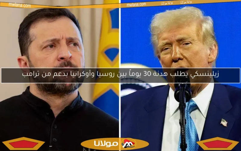 زيلينسكي يطلب هدنة 30 يوماً بين روسيا وأوكرانيا بدعم من ترامب