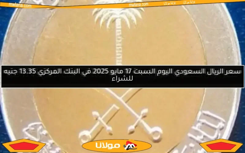 سعر الريال السعودي اليوم الجمعة 16 مايو 2025 في البنك المركزي 13.35 جنيه للشراء