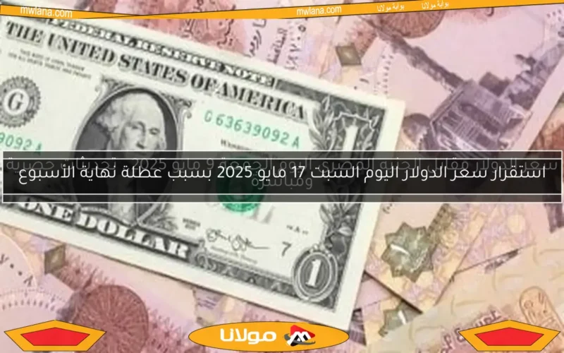 سعر الدولار مقابل الجنيه المصري اليوم الجمعة 9 مايو 2025.. تحديثات حصرية ومباشرة
