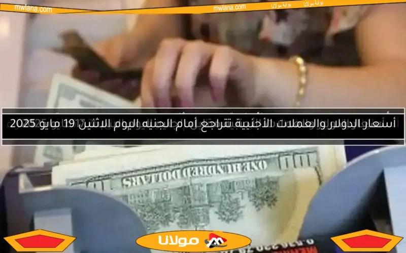 استقرار سعر الدولار في البنوك المصرية اليوم الأحد 11 مايو 2025