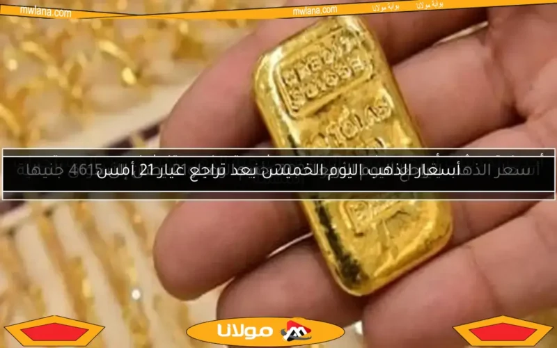 أحدث تحديثات أسعار الذهب اليوم من شعبة الذهب تكشف عن المستجدات المهمة