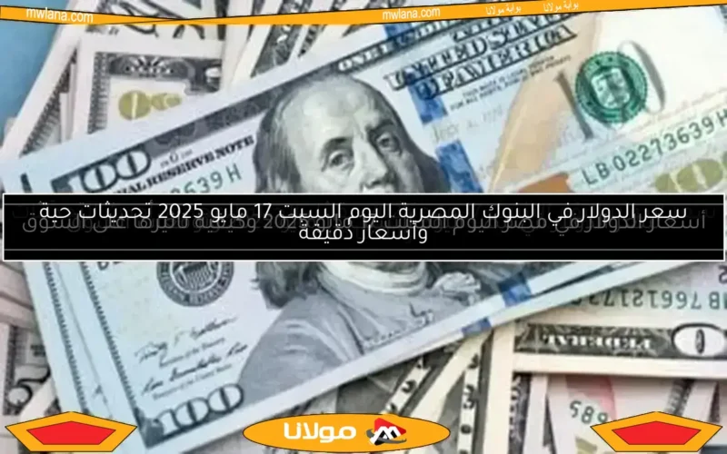 أسعار الدولار والعملات الأجنبية اليوم الأحد 11 مايو 2025 تحديثات حية وأهم المعلومات