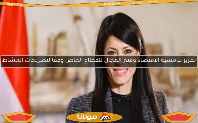 تعزيز تنافسية الاقتصاد وفتح المجال للقطاع الخاص وفقًا لتصريحات المشاط