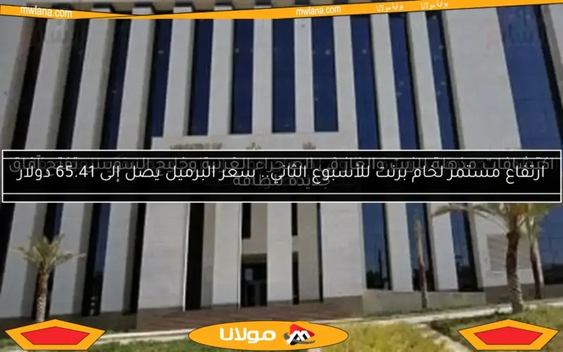 خطوات جديدة من وزارة البترول لضمان جودة البنزين ومطابقته للمواصفات المطلوبة
