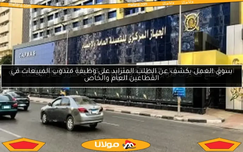 سوق العمل يكشف عن الطلب المتزايد على وظيفة مندوب المبيعات في القطاعين العام والخاص