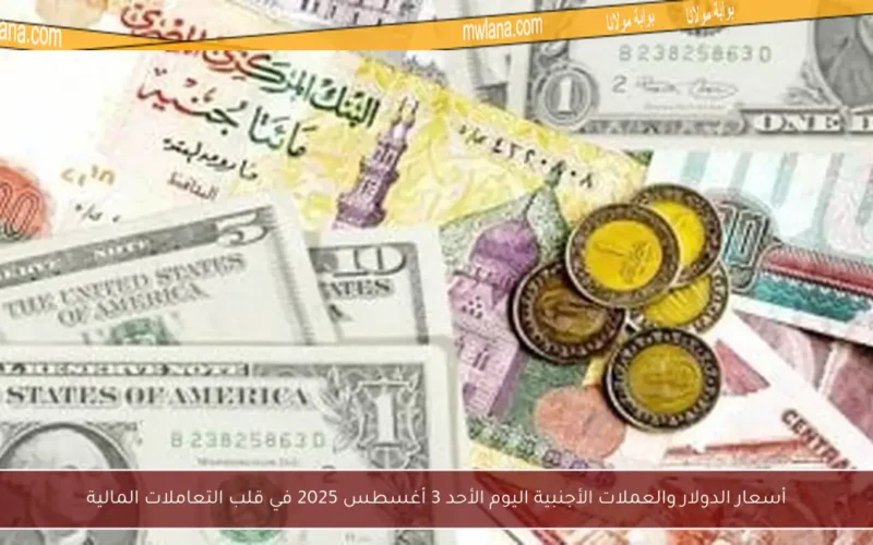 أسعار الدولار والعملات الأجنبية اليوم الأحد 3 أغسطس 2025 في قلب التعاملات المالية