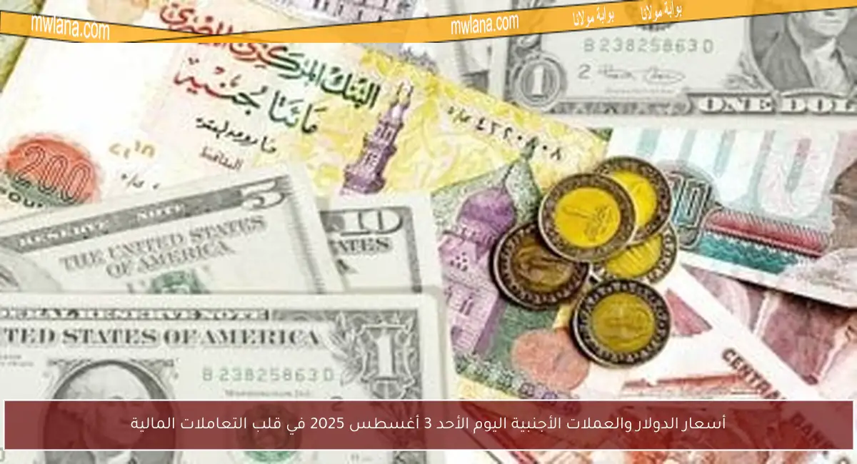 أسعار الدولار والعملات الأجنبية اليوم الأحد 3 أغسطس 2025 في قلب التعاملات المالية