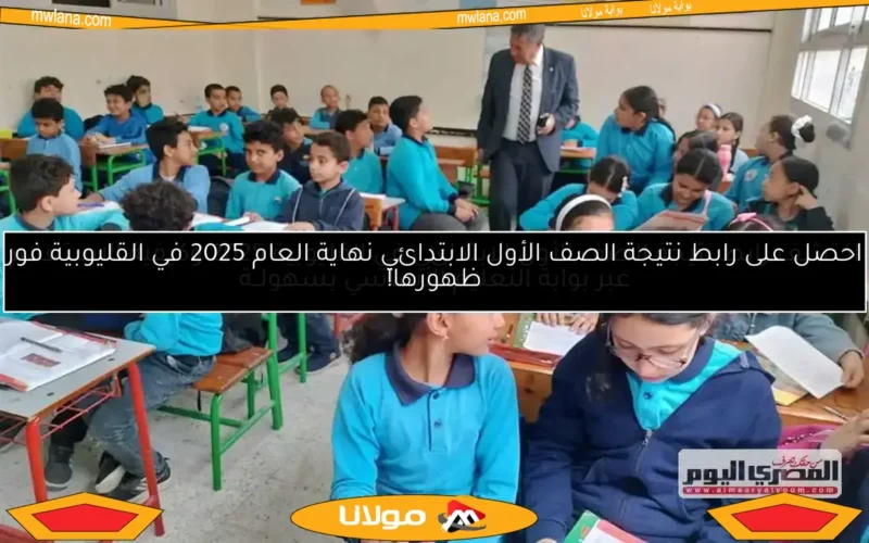 نتائج الصف الأول الابتدائي 2025 في محافظة الجيزة وكيفية الحصول عليها فور الإعلان
