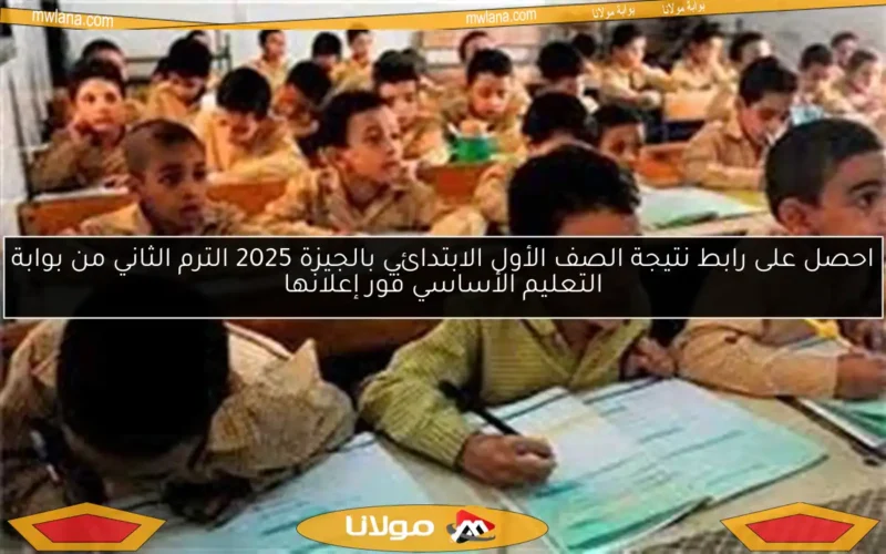 احصل على رابط نتيجة الصف الأول الابتدائي بالجيزة 2025 الترم الثاني من بوابة التعليم الأساسي فور إعلانها