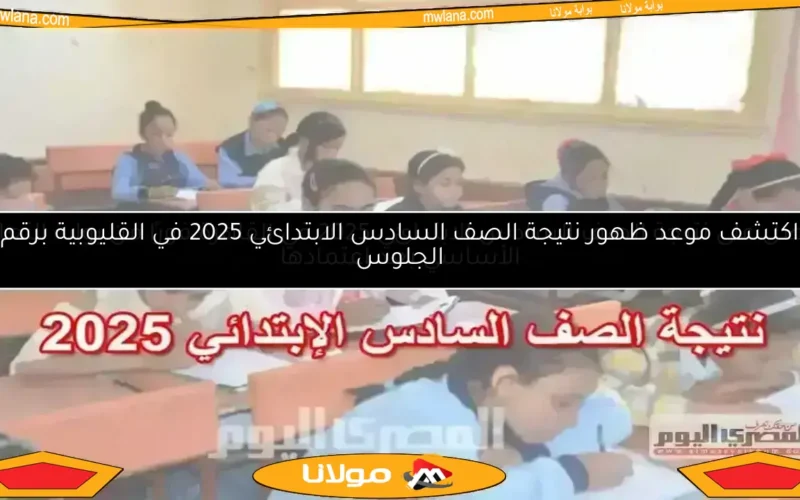 نتيجة الصف السادس الابتدائي الترم الثاني 2025 في القاهرة.. اكتشفها بسهولة مع المساعد الذكي (الرابط والخطوات)
