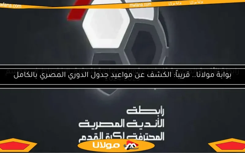 الغندور يعلن.. تشديد عقوبات الانسحاب من الدوري بواسطة رابطة الأندية