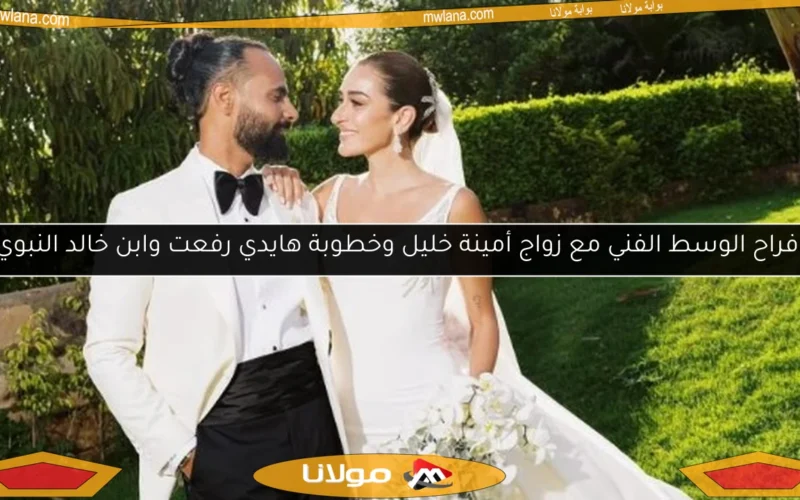 أفراح الوسط الفني مع زواج أمينة خليل وخطوبة هايدي رفعت وابن خالد النبوي