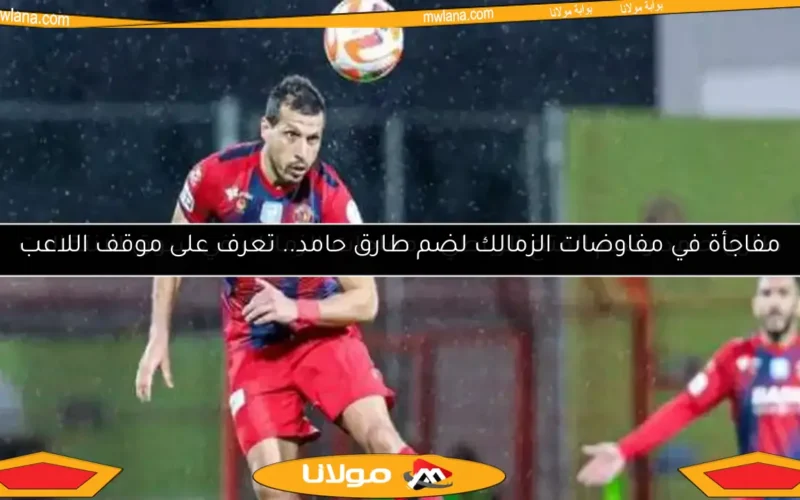 طارق حامد ونجم الفتح الرباطي.. مفاجآت الزمالك في سوق الانتقالات