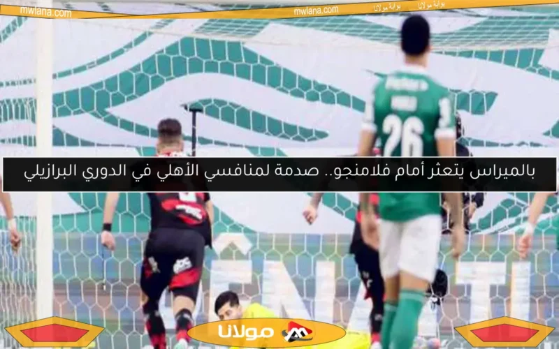 بالميراس يتعثر أمام فلامنجو.. صدمة لمنافسي الأهلي في الدوري البرازيلي
