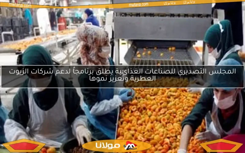 المجلس التصديري للصناعات الغذائية يطلق برنامجاً لدعم شركات الزيوت العطرية وتعزيز نموها