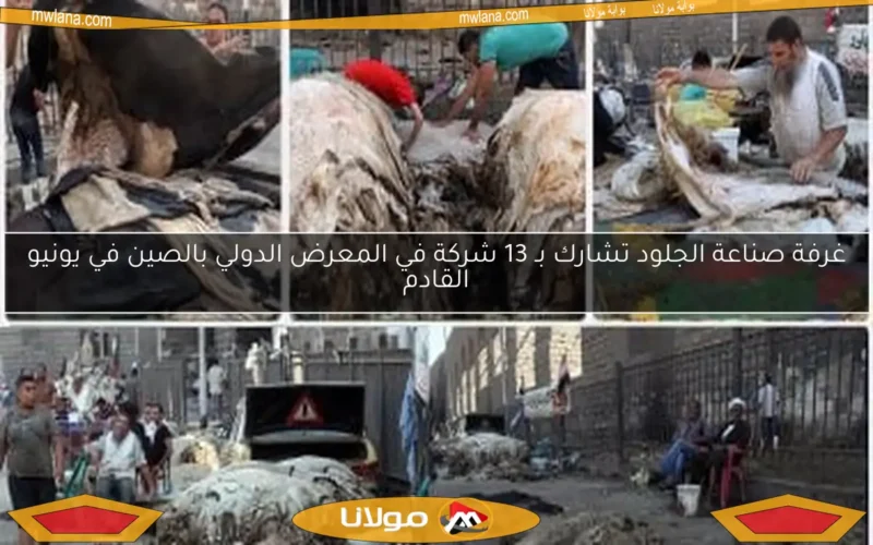 غرفة صناعة الجلود تشارك بـ 13 شركة في المعرض الدولي بالصين في يونيو القادم