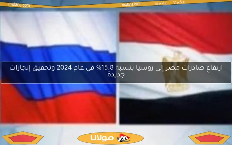 ارتفاع صادرات مصر إلى روسيا بنسبة 15.8% في عام 2024 وتحقيق إنجازات جديدة