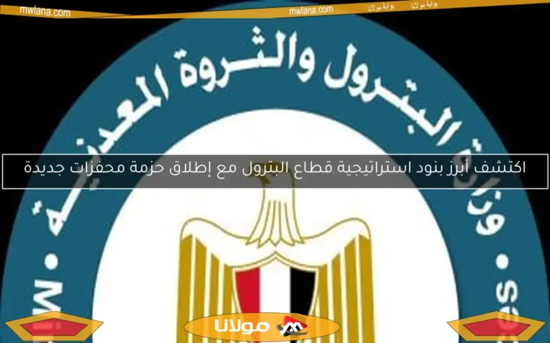 اكتشف أبرز بنود استراتيجية قطاع البترول مع إطلاق حزمة محفزات جديدة